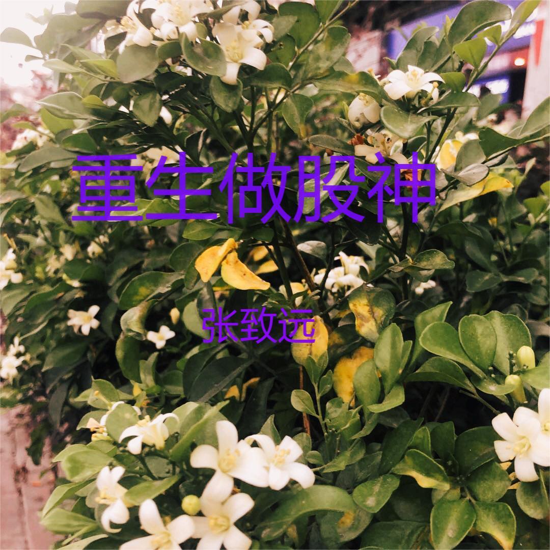 重生金融巨子归来为爱涤荡乾坤笔趣阁